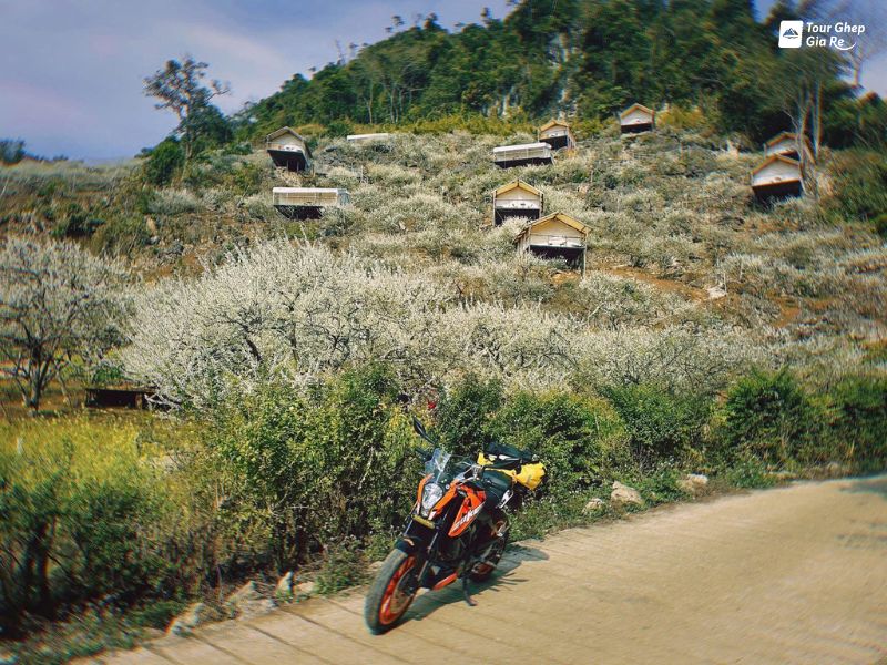 thung-lung-man-mu-nau-3.jpg (147 KB)