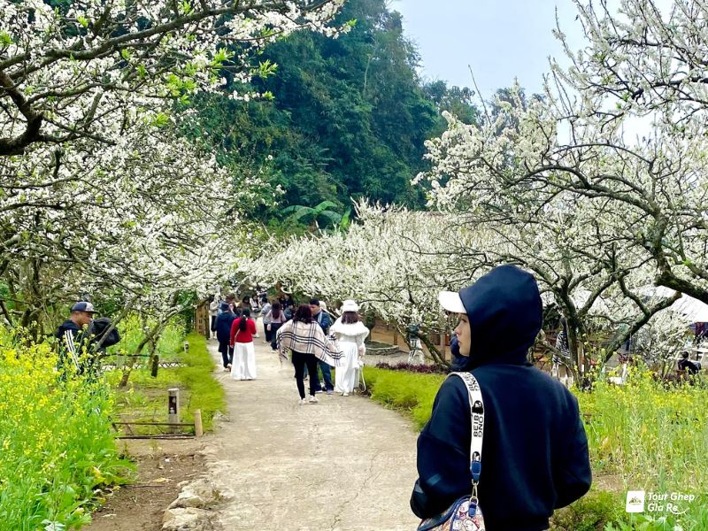 thung-lung-man-mu-nau-4.jpg (189 KB)