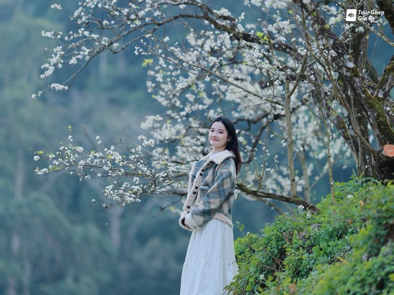 thung-lung-man-mu-nau-5.jpg (104 KB)