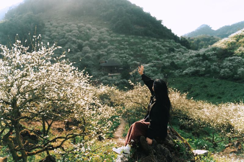 Kinh nghiệm du lịch Thung Lũng mận Mu Náu từ A - Z cho người mới
