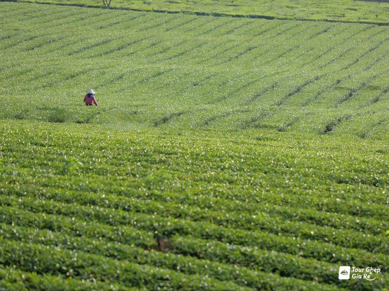 thung-lung-man-na-ka-10.jpg (531 KB)