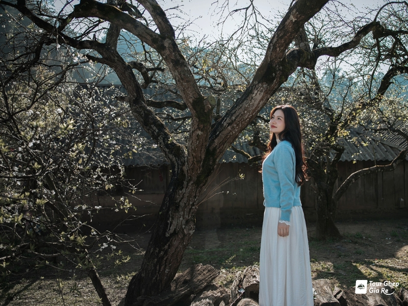 thung-lung-man-na-ka-4.jpg (533 KB)