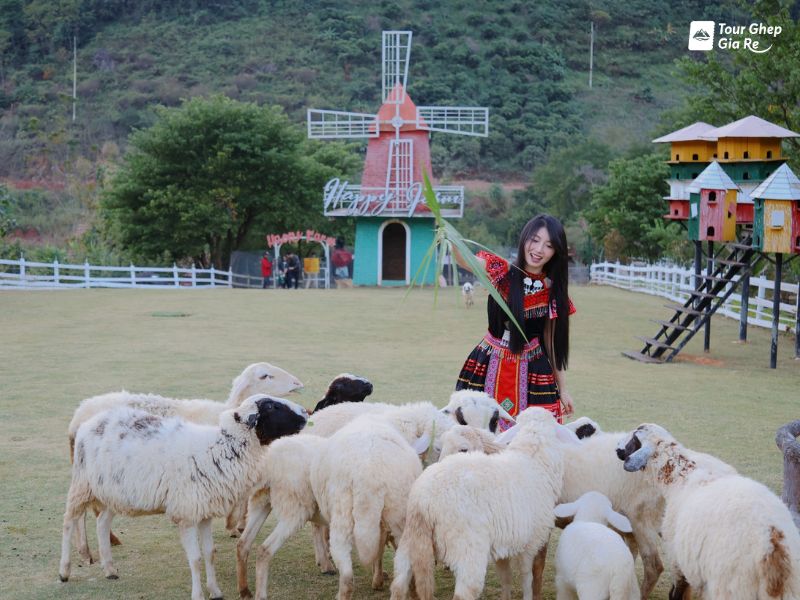 tour-du-lich-moc-chau-2-ngay-1-dem-4.jpg (98 KB)