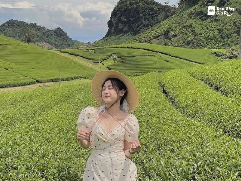 tour-du-lich-moc-chau-2-ngay-1-dem-6.jpg (132 KB)