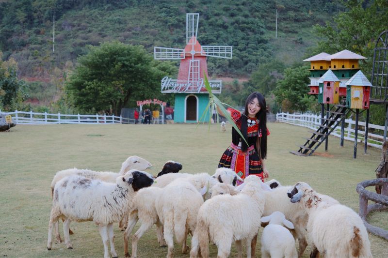 Review tour du lịch Mộc Châu 2 ngày 1 đêm chi tiết