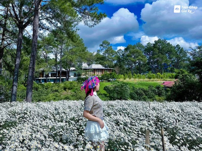 tour-du-lich-moc-chau-3-ngay-2-dem-10.jpg (189 KB)