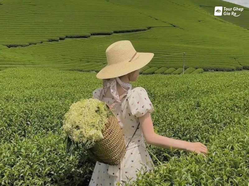 tour-du-lich-moc-chau-3-ngay-2-dem-11.jpg (118 KB)