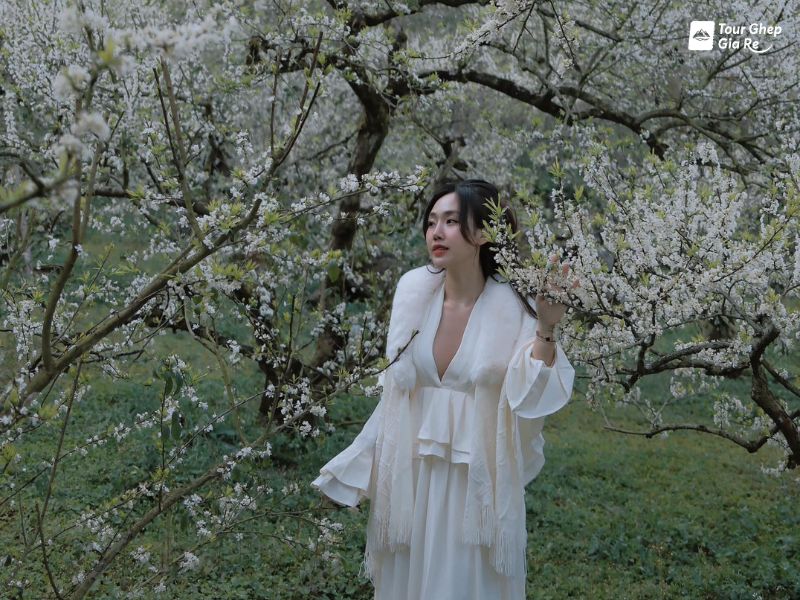 tour-du-lich-moc-chau-3-ngay-2-dem-7.jpg (133 KB)