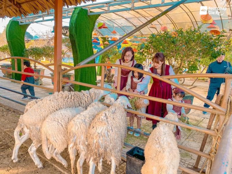 tour-du-lich-moc-chau-3-ngay-2-dem-9.jpg (137 KB)