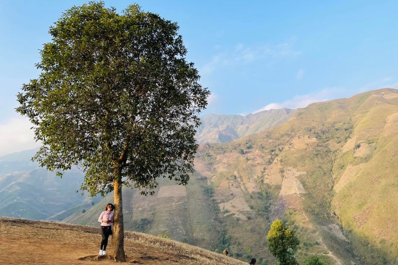 Khám phá tour Mộc Châu Tà Xùa 3 ngày 2 đêm trọn gói chi tiết