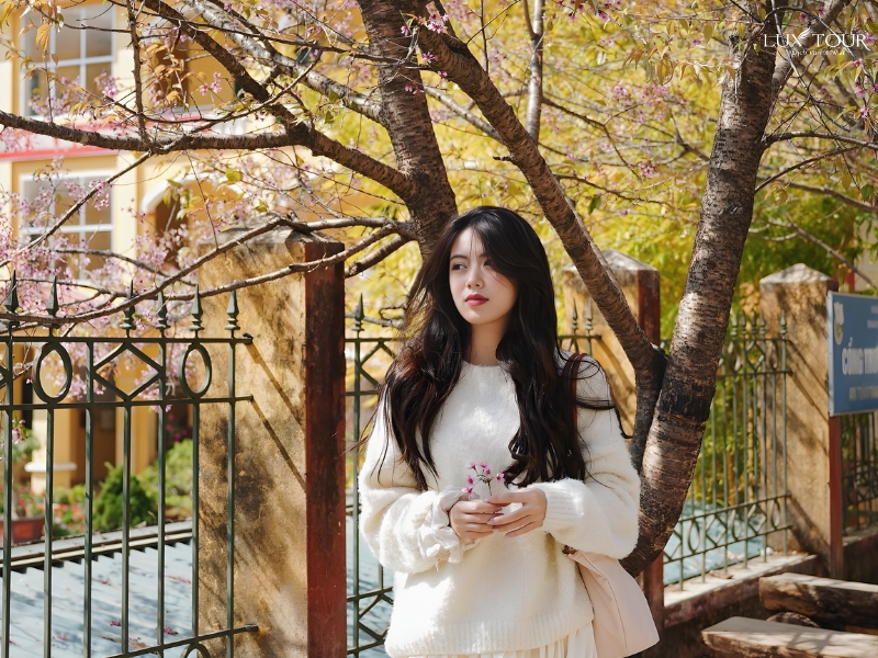 du-lich-mu-cang-chai-thang-2-12.jpg (520 KB)