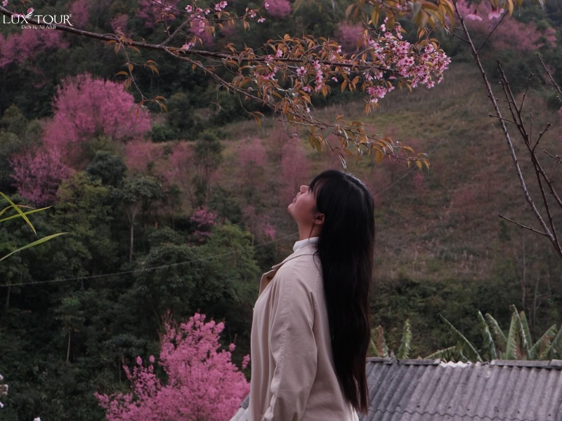 du-lich-mu-cang-chai-thang-2-15.jpg (352 KB)