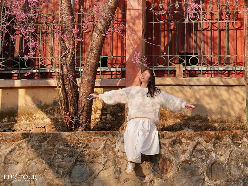 mu-cang-chai-mua-hoa-to-day-10.jpg (169 KB)