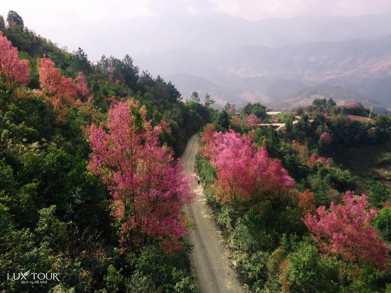 mu-cang-chai-mua-hoa-to-day-4.jpg (116 KB)