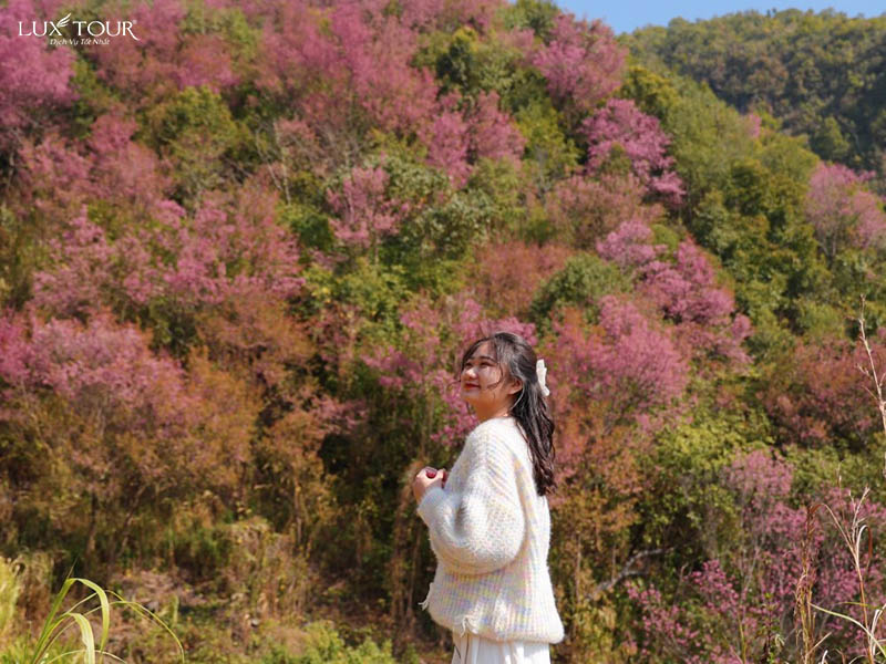 mu-cang-chai-mua-hoa-to-day-8.jpg (131 KB)