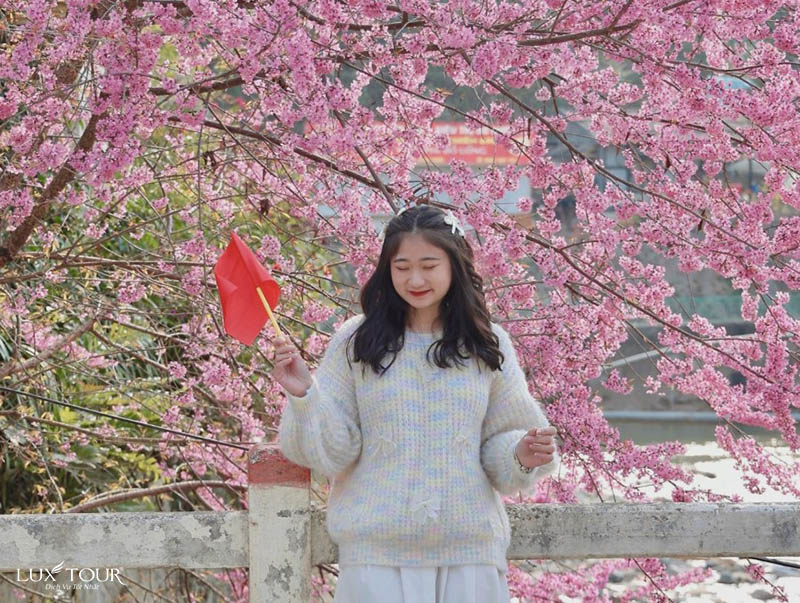 mu-cang-chai-mua-hoa-to-day-9.jpg (176 KB)