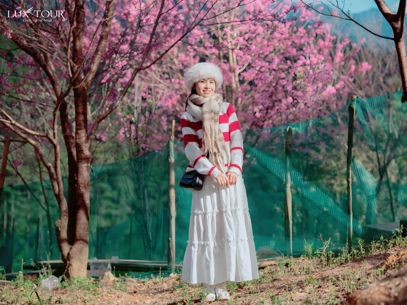 mu-cang-chai-thang-1-11.jpg (485 KB)