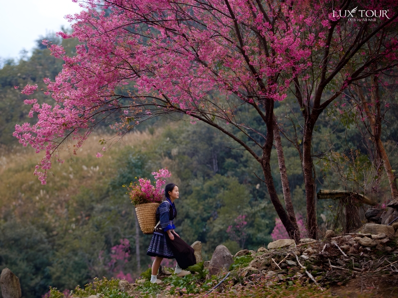 mu-cang-chai-thang-1-12-2.jpg (510 KB)