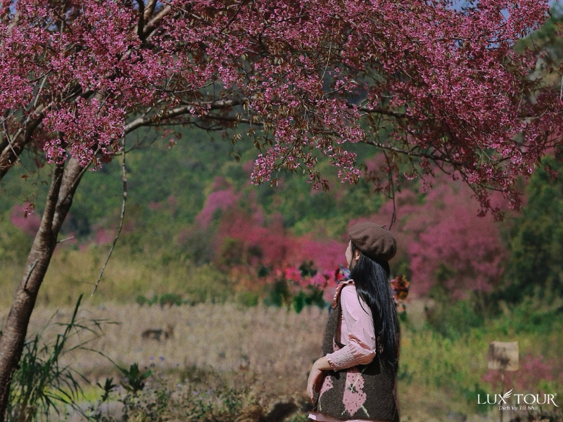 mu-cang-chai-thang-1-14.jpg (476 KB)