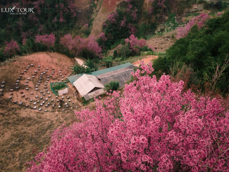 du-lich-hue-thang-1-1.jpg (549 KB)