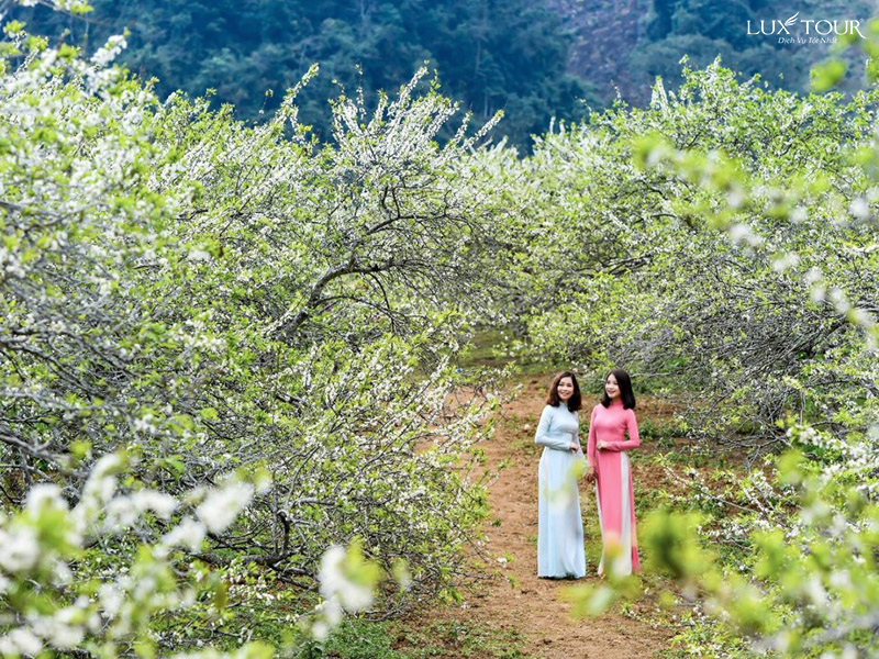 mu-cang-chai-thang-3-3.jpg (303 KB)