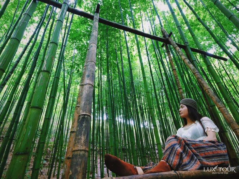 mu-cang-chai-thang-3-5.jpg (261 KB)