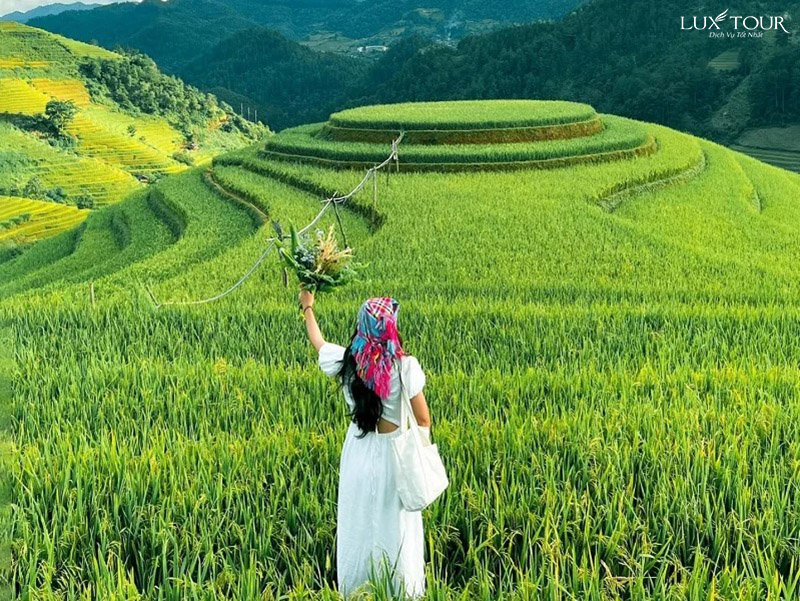 mu-cang-chai-thang-3-6-2.jpg (260 KB)