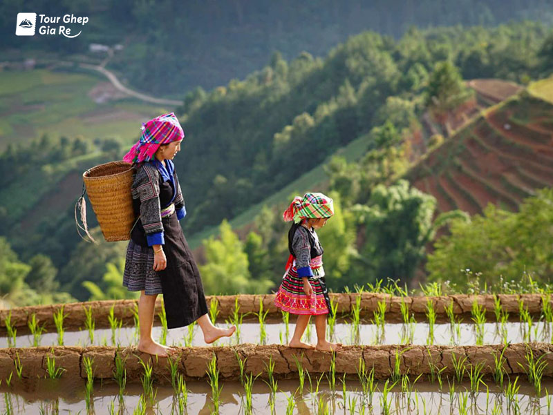 mu-cang-chai-thang-4-10.jpg (145 KB)