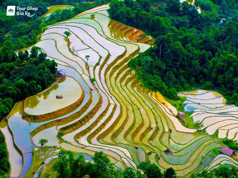 mu-cang-chai-thang-4-2.jpg (212 KB)