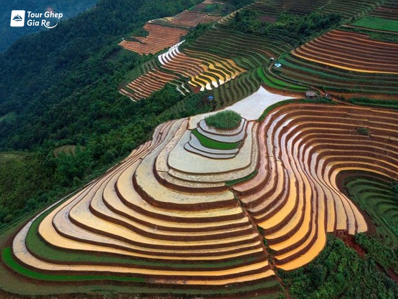 mu-cang-chai-thang-4-3.jpg (168 KB)