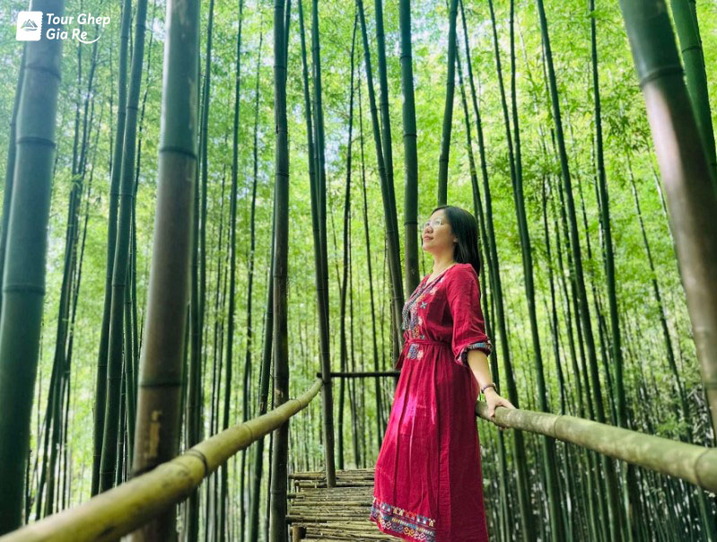 mu-cang-chai-thang-4-5.jpg (190 KB)