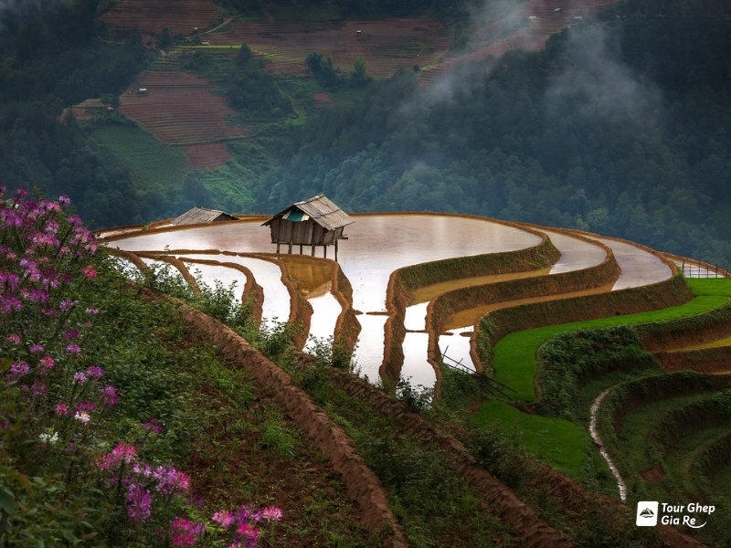 mu-cang-chai-thang-5-1.jpg (424 KB)