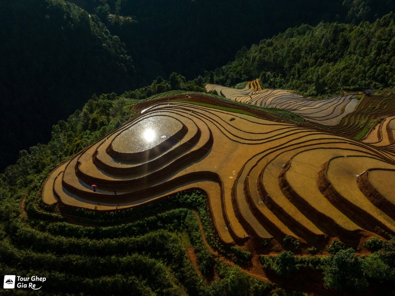 mu-cang-chai-thang-5-2.jpg (425 KB)