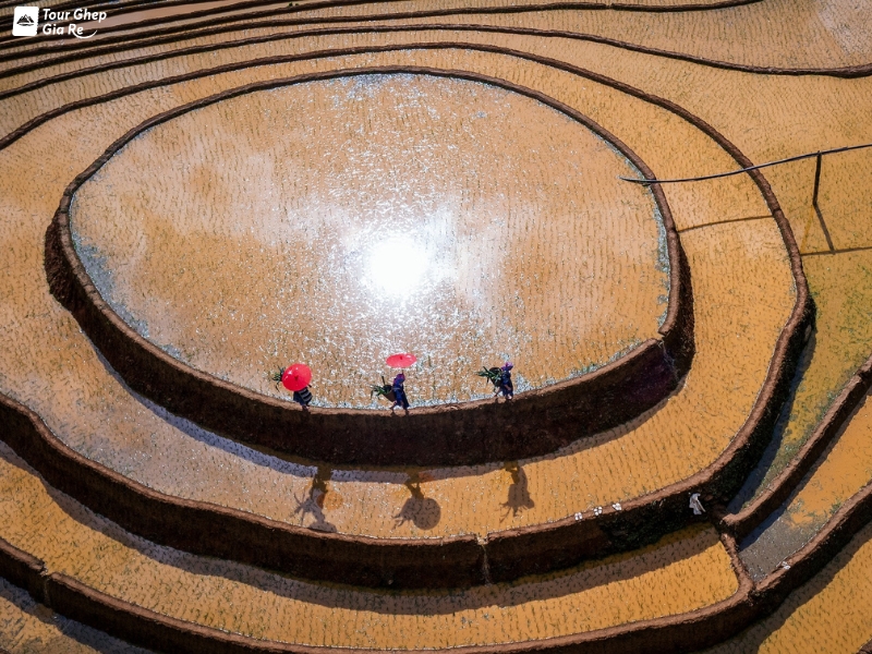 mu-cang-chai-thang-5-3.jpg (512 KB)