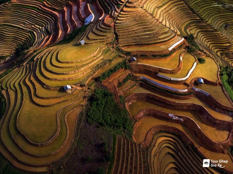 mu-cang-chai-thang-5-4.jpg (521 KB)