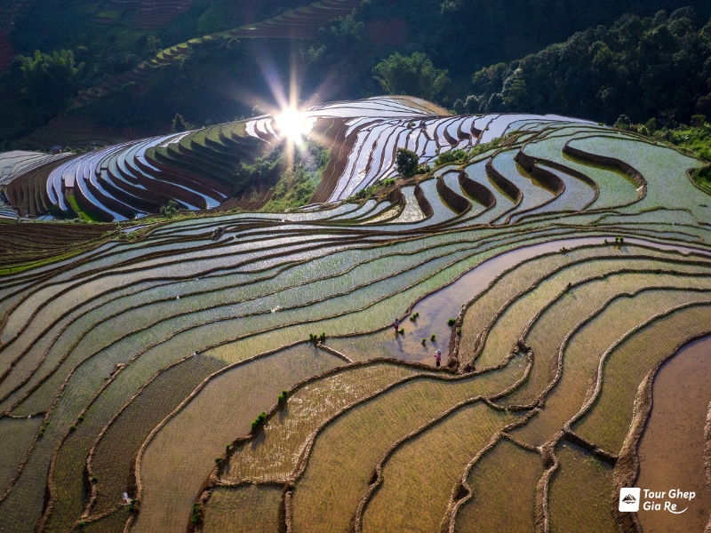 mu-cang-chai-thang-5-6.jpg (495 KB)