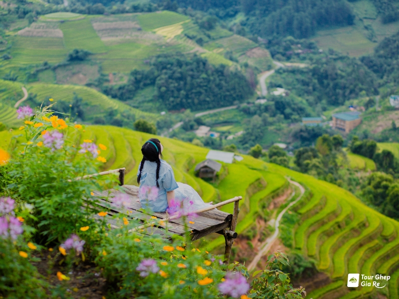 mu-cang-chai-thang-5-9.jpg (411 KB)