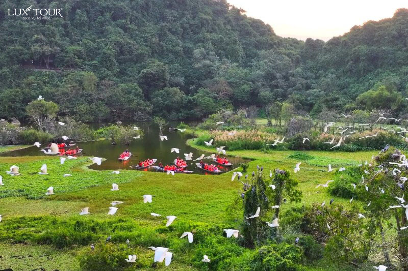 chua-bai-dinh-168.jpg (197 KB)