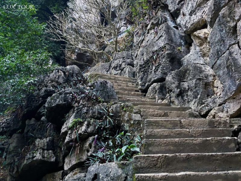 leo-bac-thang-len-chua-bich-dong.jpg (163 KB)