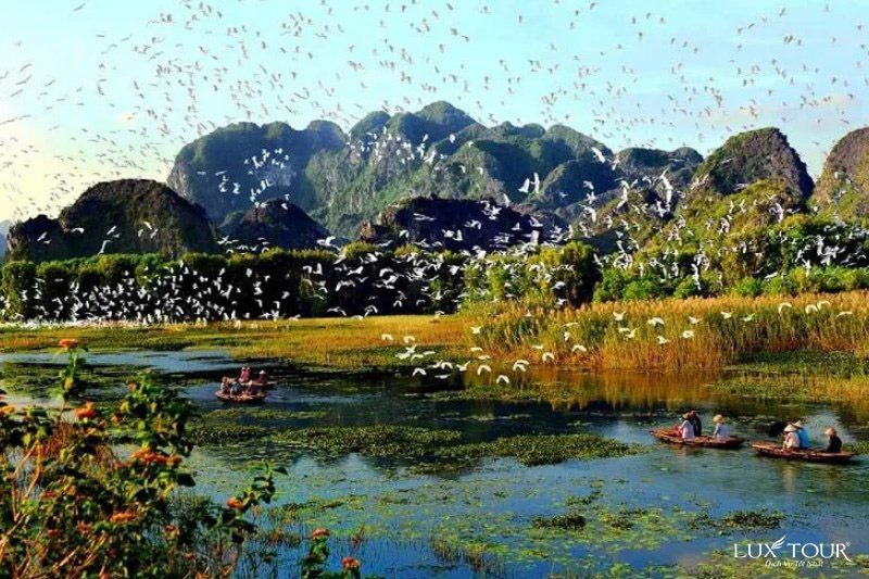 dam-van-long-8.jpg (193 KB)