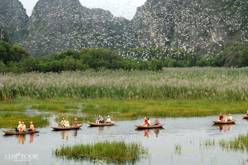 dam-van-long-83.jpg (177 KB)