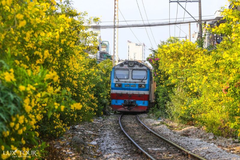 di-ninh-binh-bang-tau-hoa-1.jpg (134 KB)