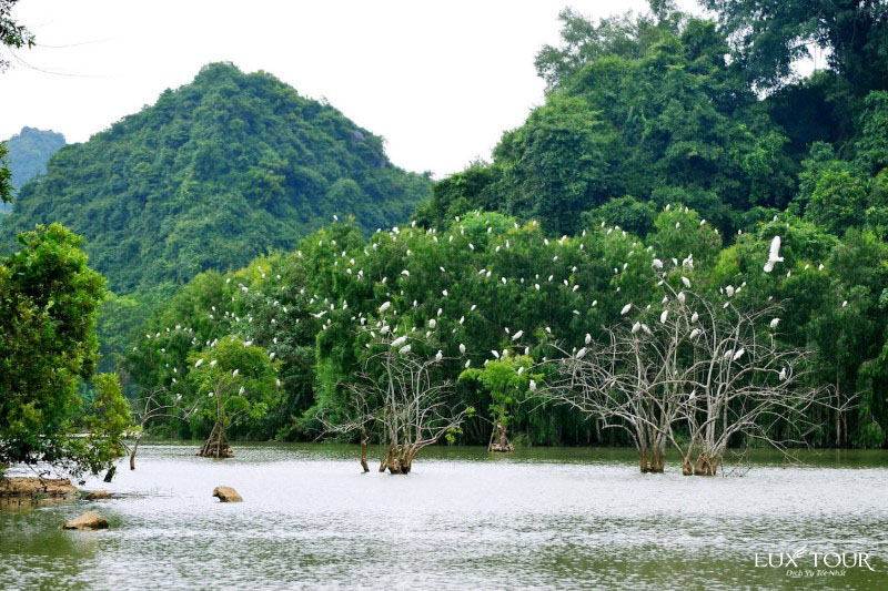 dia-diem-du-lich-ninh-binh-7337.jpg (178 KB)