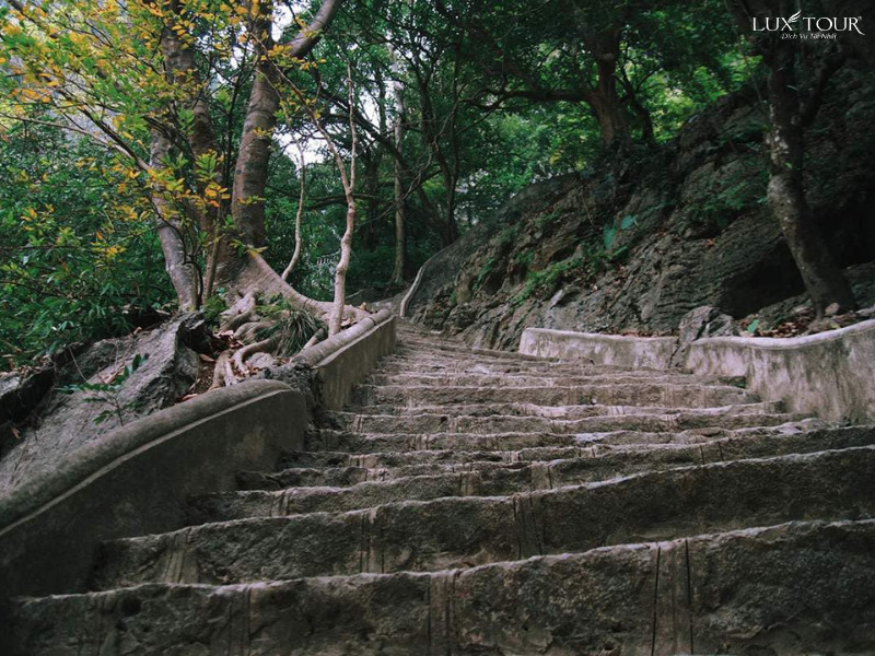 duong-len-dong-am-tiem-ninh-binh.png (886 KB)