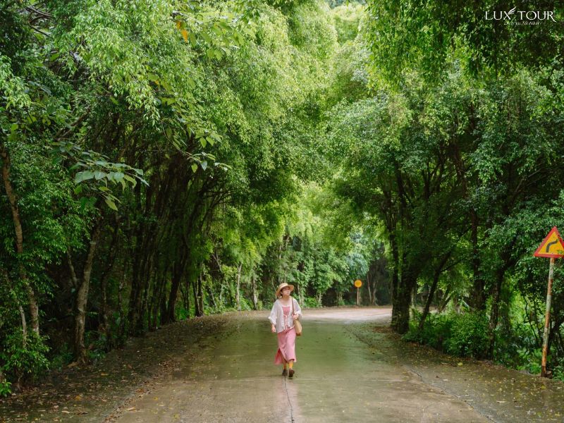 tham-quan-dong-vai-gioi.jpg (156 KB)