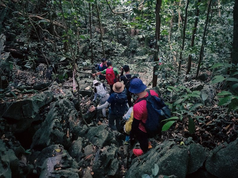 vuon-quoc-gia-cuc-phuong-du-lich-ninh-binh-thang-2.jpg (159 KB)