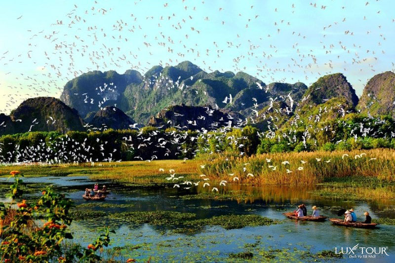 du-lich-ninh-binh-7237.jpg (181 KB)