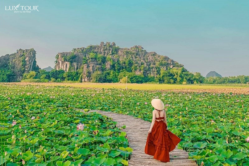 hang-mua-ninh-binh-9.jpg (186 KB)