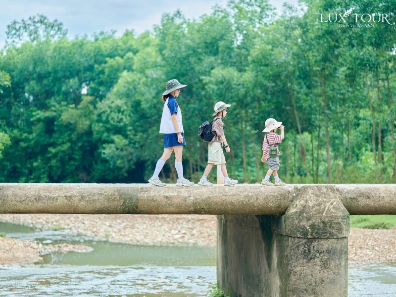 ho-dong-thai-5.jpg (105 KB)