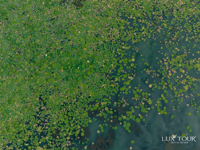 ho-yen-thang-4.jpg (134 KB)